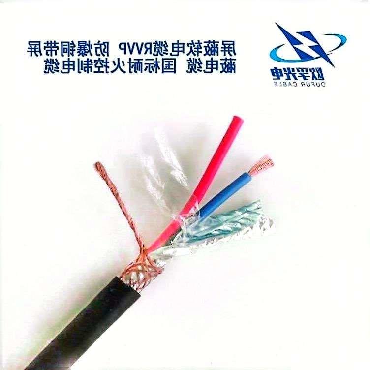大渡口区RVVP 控制电缆